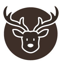 out/pictures/discount_banner/019abac7-1f69-7c63-869f-42c1d4193f21.png Aperçu de l'image