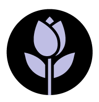 out/pictures/discount_banner/019cae55-622f-763a-8f9b-af3c155931c8.png Aperçu de l'image