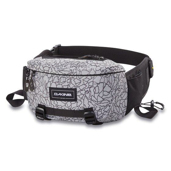 Dakine Hot Laps 2 Sac banane 25 cm