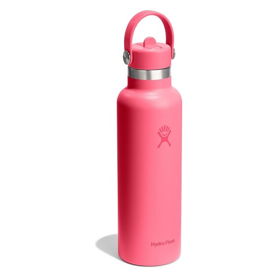 Hydro Flask Hydration Standard Flex Straw Cap Gourde 620 ml