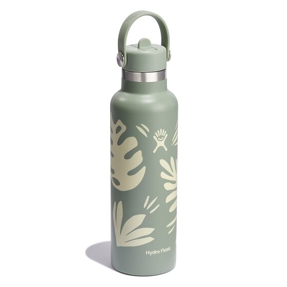 Hydro Flask Hydration Standard Flex Straw Cap Gourde 620 ml