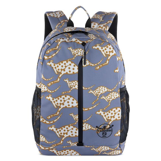 Chiemsee Jump N Fly Daypack 43 cm Compartiment pour ordinateur portable
