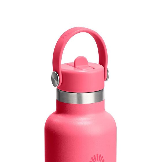 Hydro Flask Hydration Standard Flex Straw Cap Gourde 620 ml