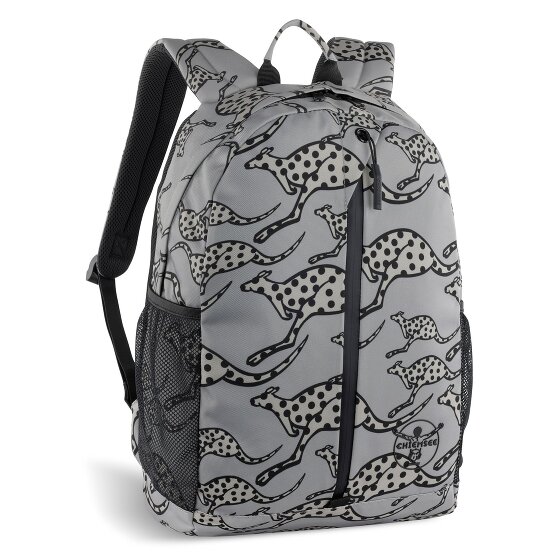 Chiemsee Jump N Fly Daypack 43 cm Compartiment pour ordinateur portable