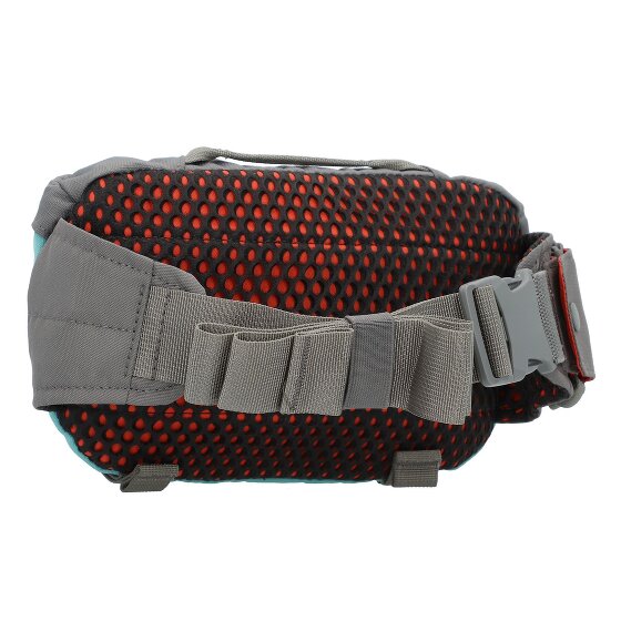 Dakine Hot Laps 1 Sac banane 17 cm