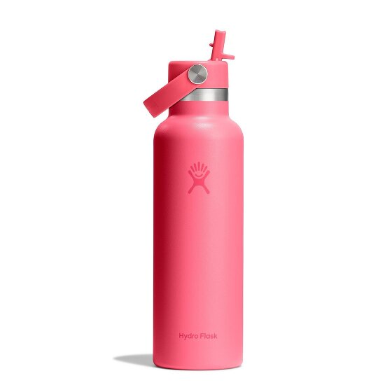Hydro Flask Hydration Standard Flex Straw Cap Gourde 620 ml