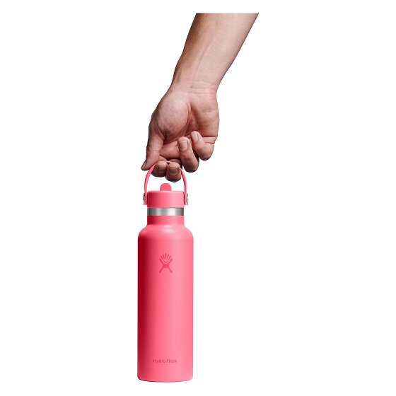 Hydro Flask Hydration Standard Flex Straw Cap Gourde 620 ml