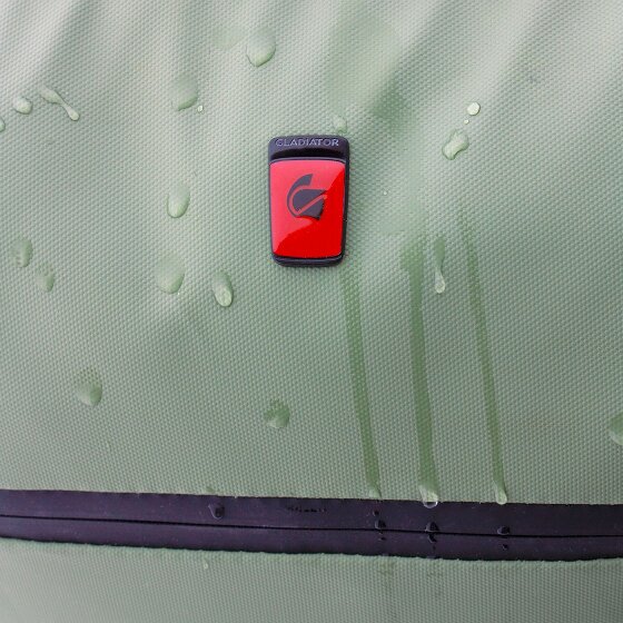 Gladiator 3900 2 roulettes Trolley de cabine 55 cm Compartiment pour ordinateur portable