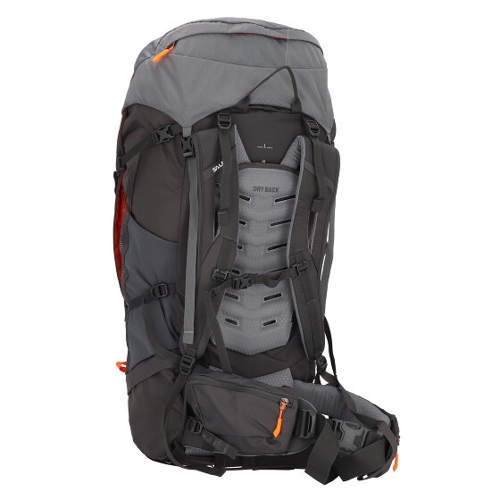Salewa Alptrek 65 Pro sac à dos 81 cm
