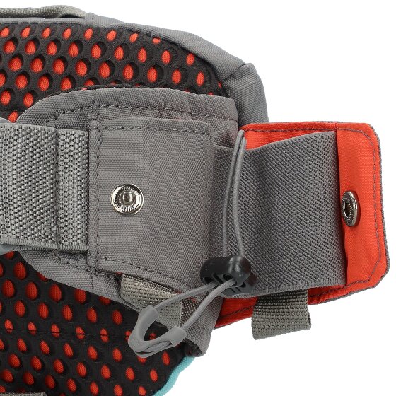 Dakine Hot Laps 1 Sac banane 17 cm