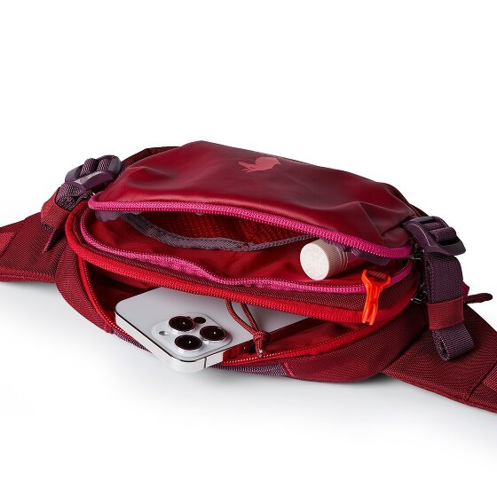 Cotopaxi Allpa Sac banane 24 cm