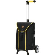 Andersen Shopper Unus Shopper Fun Bahne Chariot à provisions 54 cm Foto du produit