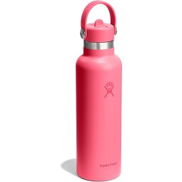 Hydro Flask Hydration Standard Flex Straw Cap Gourde 620 ml  Modéle 9