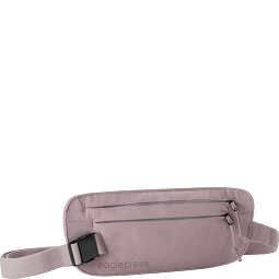 Eagle Creek Security Coffre-fort à la taille 28 cm  Modéle 1