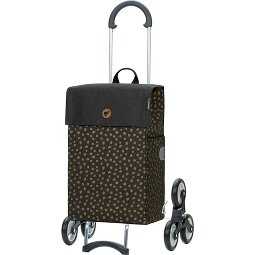 Andersen Shopper Treppensteiger Scala Fita Chariot à provisions 57 cm  Modéle 2