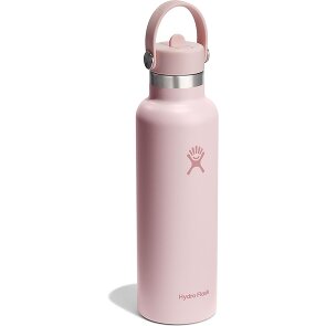 Hydro Flask Hydration Standard Flex Straw Cap Gourde 620 ml