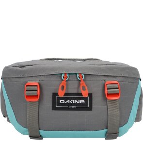 Dakine Hot Laps 1 Sac banane 17 cm