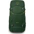  Ace 38 Sac à dos de trekking 64 cm Modéle green canopy-matcha green