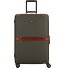  Story Viaggio Trunks 4 roues Valise cabine 70 cm Modéle foresta