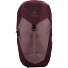  AC Lite 22 SL Sac à dos de randonnée 30 cm Modéle ashrose-cassis