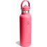  Hydration Standard Flex Straw Cap Gourde 620 ml Modéle popstar pink