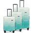  Crate EX Wildlife 4 roulettes Set de valises 3 pièces Modéle greenvelvet