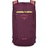  Daylite 0 Daypack 41 cm Modéle moody burgundy