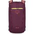  Daylite 0 Daypack 41 cm Modéle moody burgundy