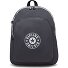  Curtis Daypack L 43 cm Compartiment ordinateur Modéle moonlit grey c