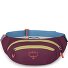  Daylite Sac banane 45 cm Modéle moody burgundy