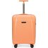  Phantom SL 4 roues trolley cabine 55 cm Modéle twisted melon