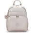  Basic Plus Daypack 40 cm Compartiment ordinateur Modéle metallic glow