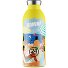  Gourde Clima 500 ml Modéle panorama yellow