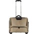  2 roulettes Trolley d'affaires 41 cm Compartiment pour ordinateur portable Modéle champagner