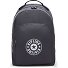  Center Curtis Daypack 43 cm Compartiment ordinateur Modéle moonlit grey c