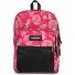  Pinnacle Daypack 42 cm Modéle brize pink beige