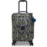  Basic Prt Spontaneous 4 roues Valise cabine S 53 cm Modéle striped grasses