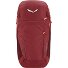  Alp Trainer 20L sac à dos 55 cm Modéle syrah