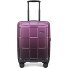  Crate EX Wildlife 4 roulettes Trolley de cabine 55 cm Modéle ascendinggrape