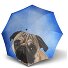  Modern Art Long Automatic Parapluie 88 cm Modéle lazy dog